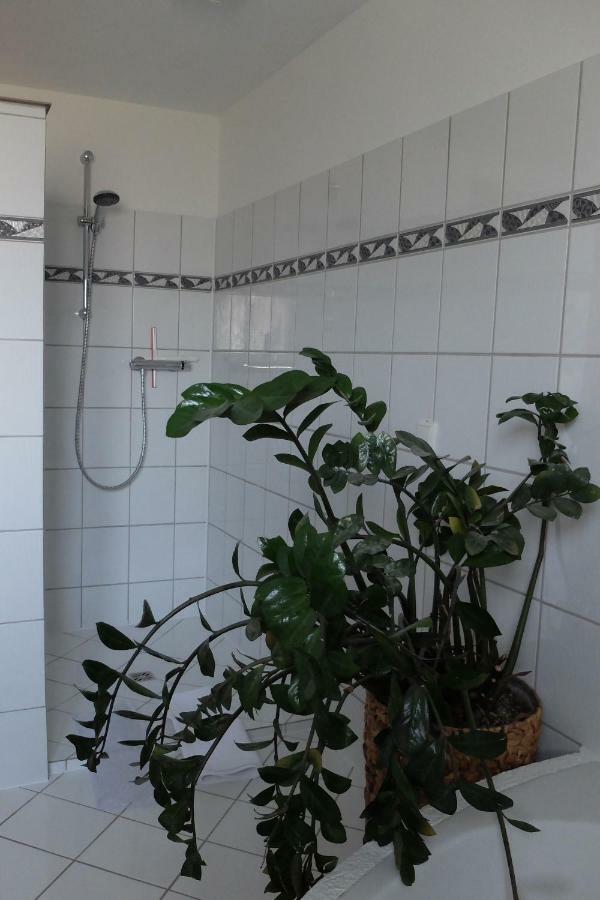 Ferienwohnung Elsa Höchst Buitenkant foto